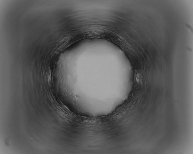 X0000091190771200709061013