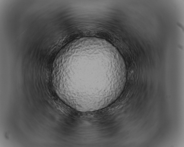 X0000091190772200709061013