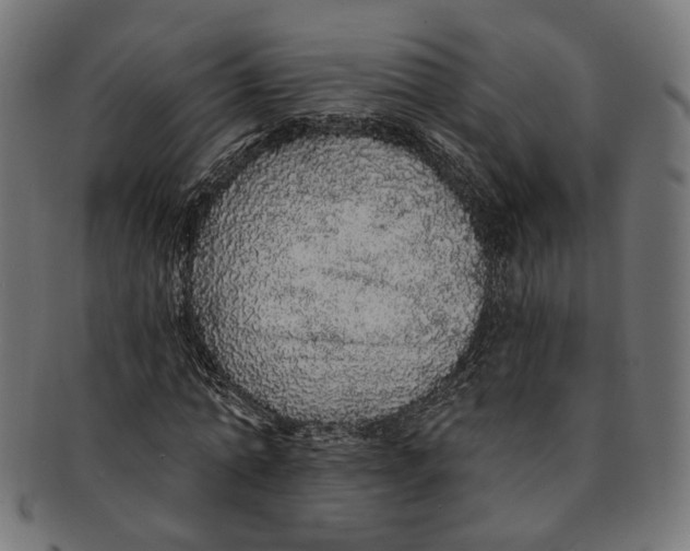 X0000091190774200709061013