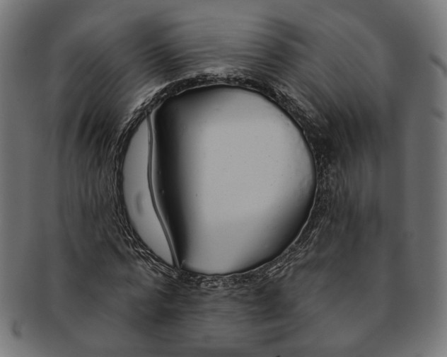 X0000091190776200709061013