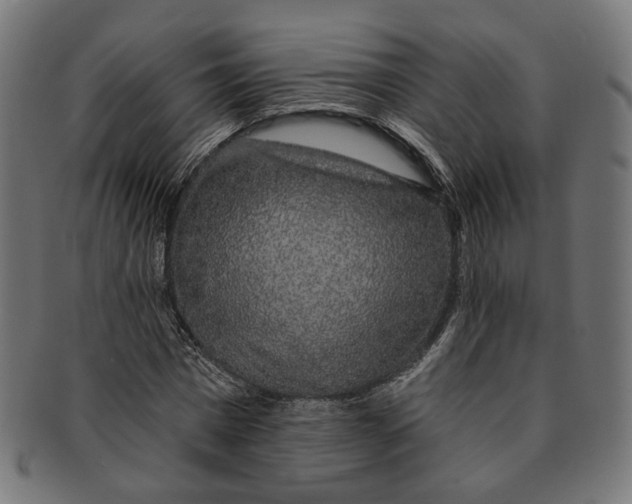 X0000091190777200709061013