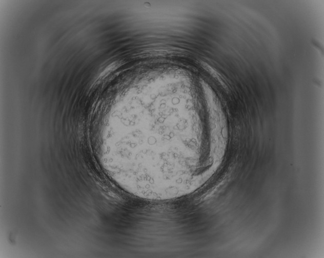 X0000091190778200709061013