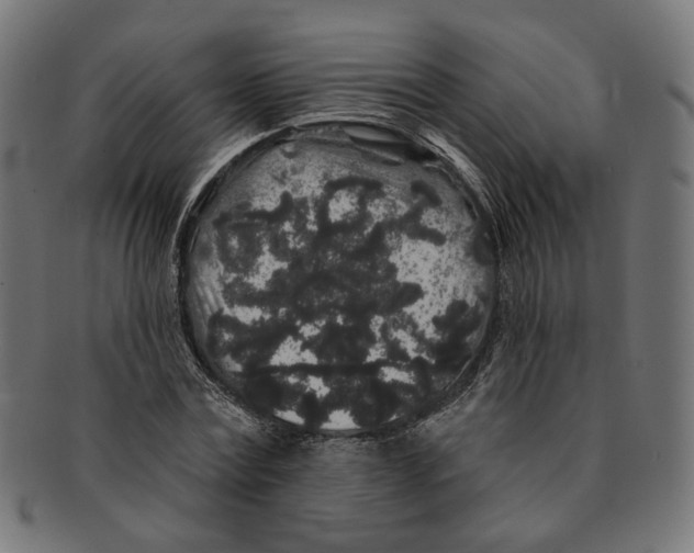 X0000091190779200709061013