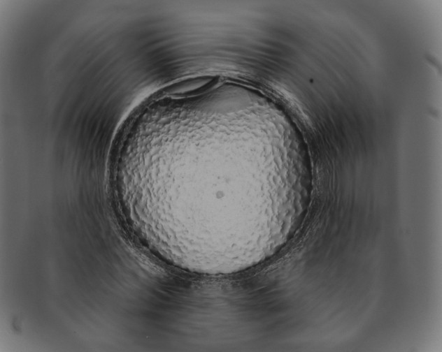 X0000091190780200709061013