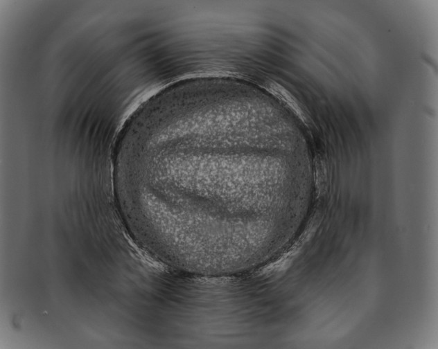 X0000091190781200709061013