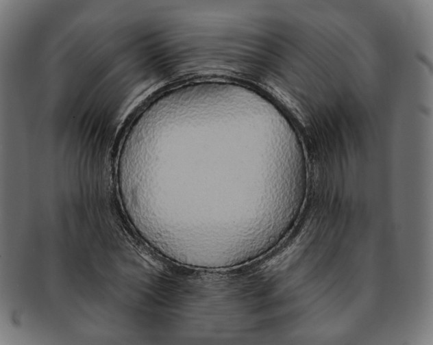 X0000091190782200709061013