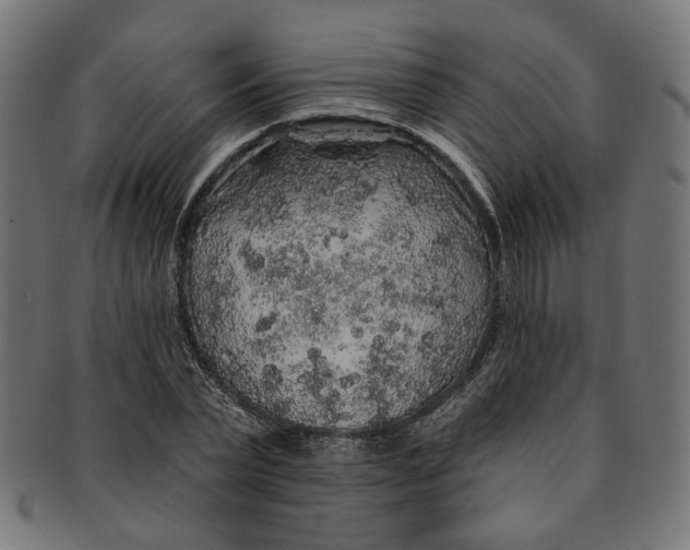 X0000091190783200709061013