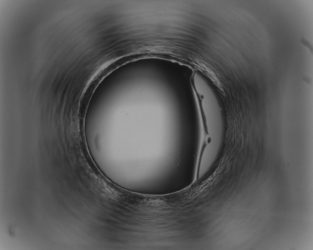 X0000091190784200709061013