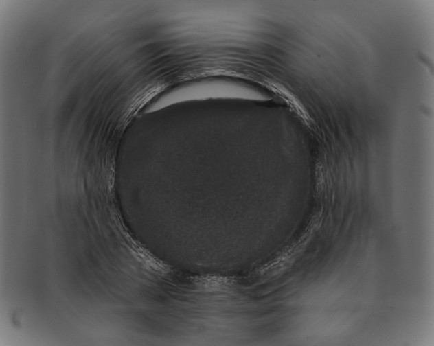 X0000091190785200709061013