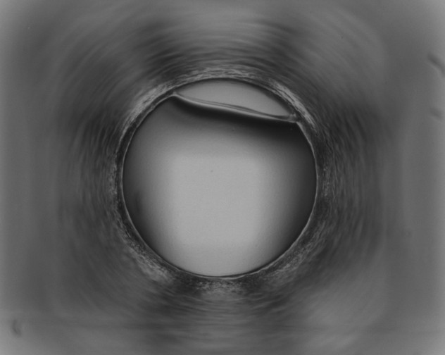 X0000091190786200709061013