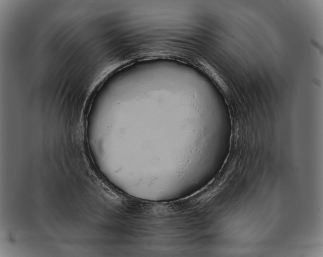 X0000091190787200709061013