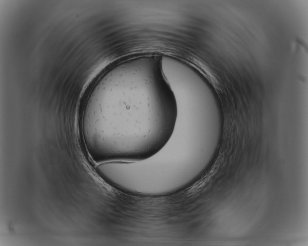 X0000091190788200709061013