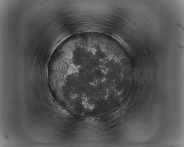 X0000091190790200709061013