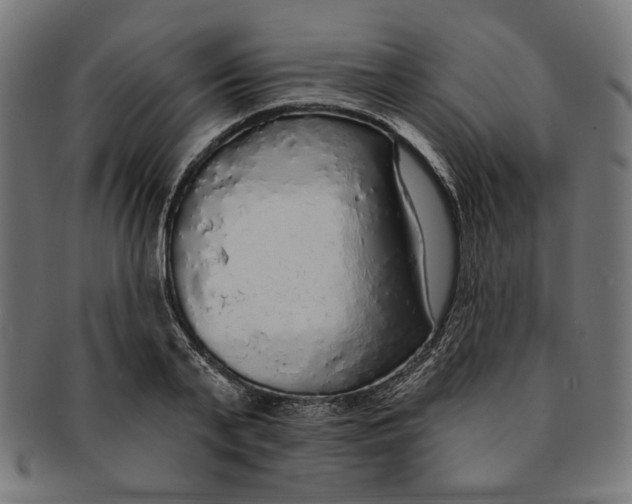 X0000091190791200709061013