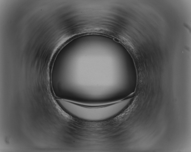 X0000091190792200709061013