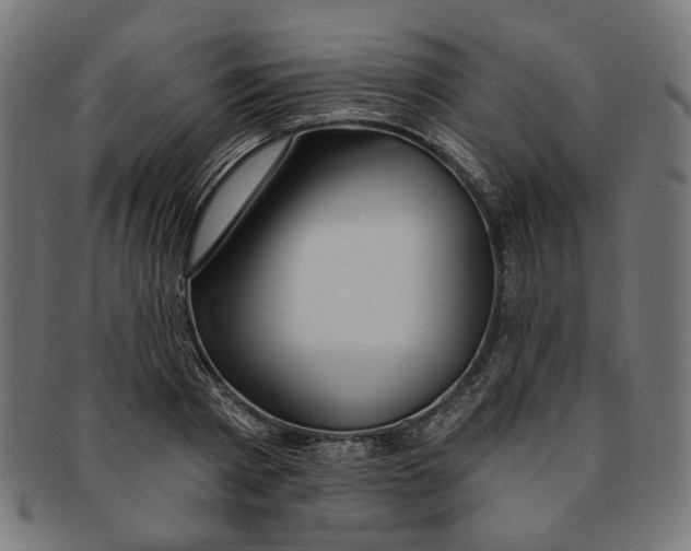 X0000091190793200709061013