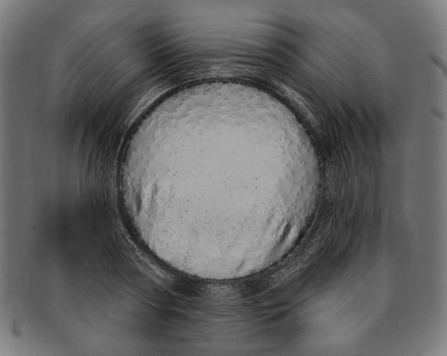 X0000091190794200709061013