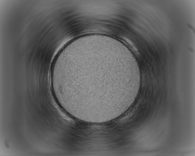 X0000091190796200709061013