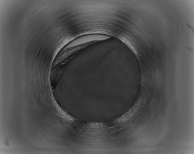 X0000091190797200709061013