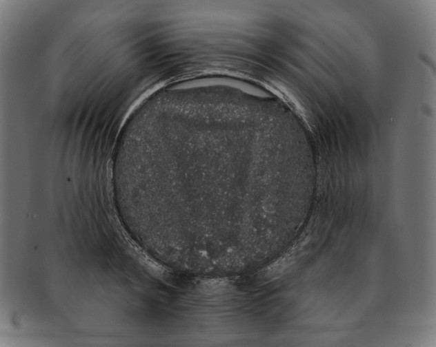 X0000091190798200709061012