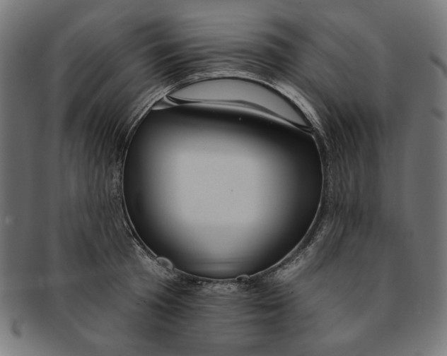 X0000091190801200709061012