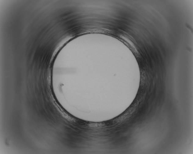 X0000091190804200709061012