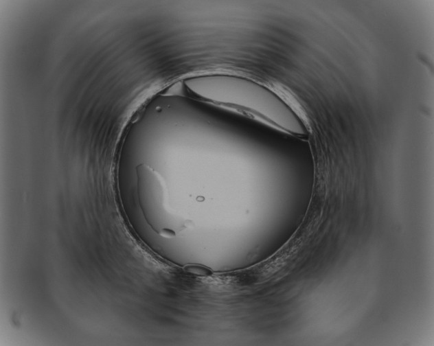 X0000091190805200709061012