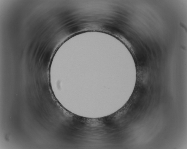 X0000091190807200709061012