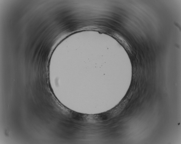 X0000091190808200709061012