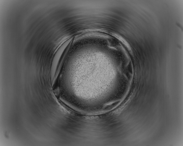 X0000091190809200709061012