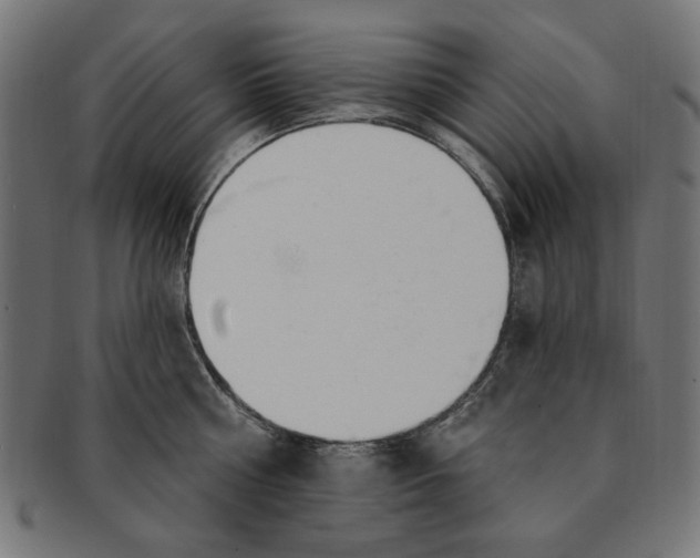 X0000091190810200709061012