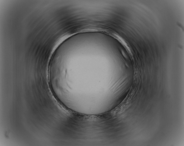 X0000091190811200709061012