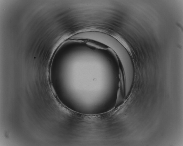 X0000091190813200709061012