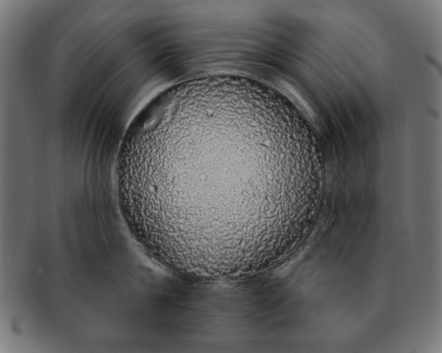 X0000091190814200709061012