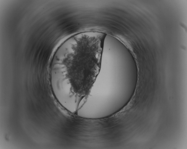 X0000091190816200709061012