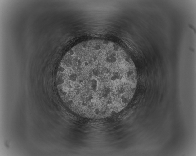 X0000091190817200709061012