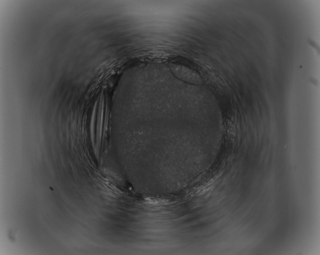 X0000091190818200709061012