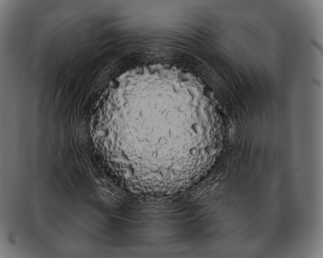 X0000091190819200709061012