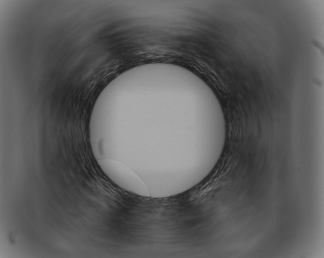 X0000091190820200709061012