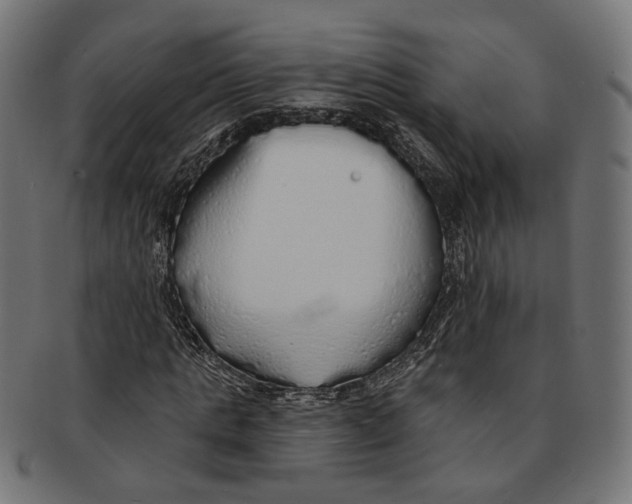 X0000091190821200709061012