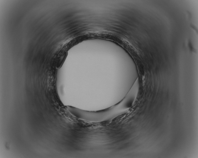 X0000091190822200709061012