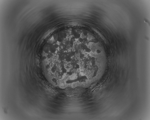 X0000091190823200709061012