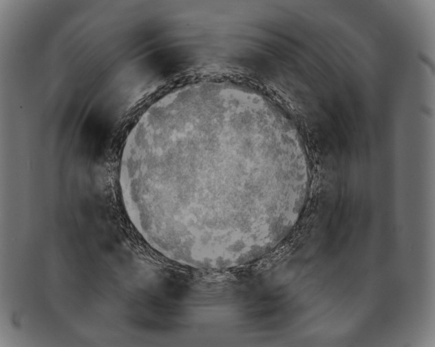 X0000091190824200709061012