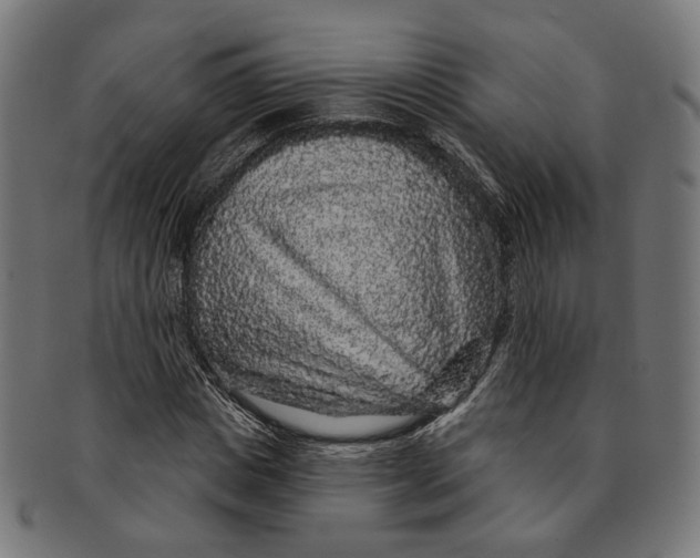 X0000091190825200709061012