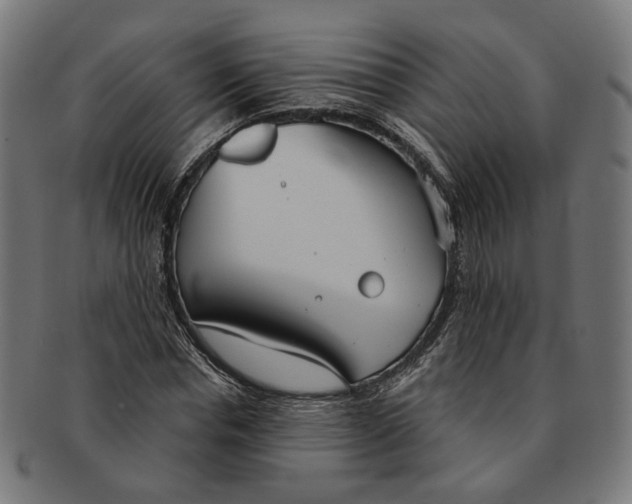 X0000091190826200709061012