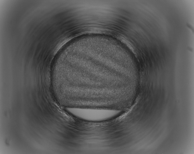 X0000091190829200709061012