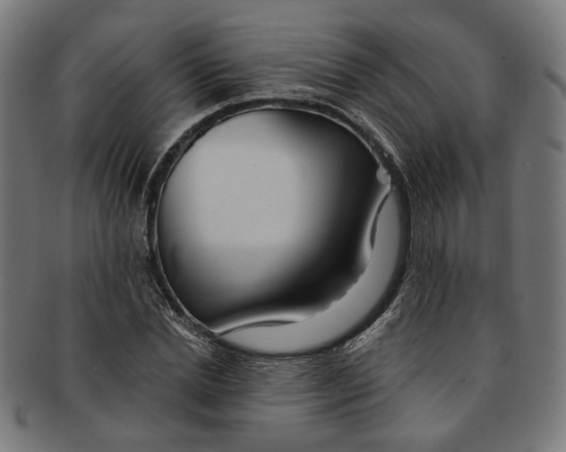 X0000091190830200709061012