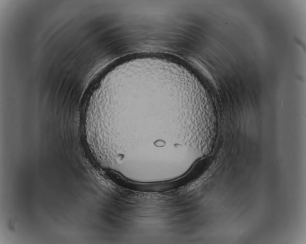 X0000091190831200709061012