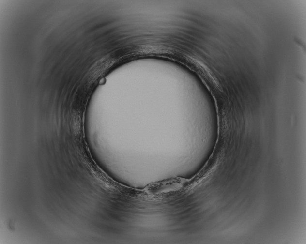 X0000091190833200709061012