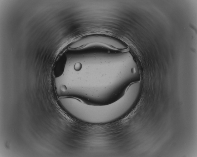 X0000091190834200709061012